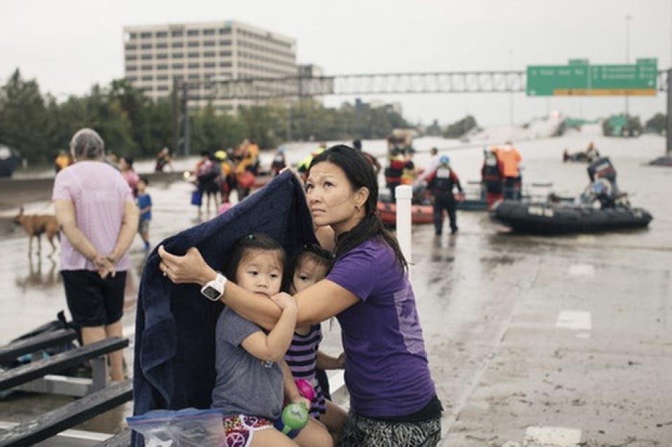 Ảnh người Việt trong bão Harvey.jpg